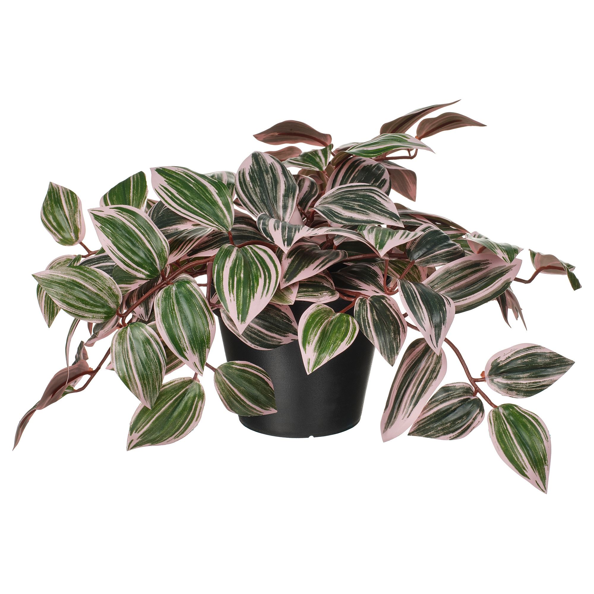 FEJKA green 12 cm artificial plant - 50600858 | IKEA