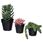 artificial plant