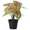 artificial plant
