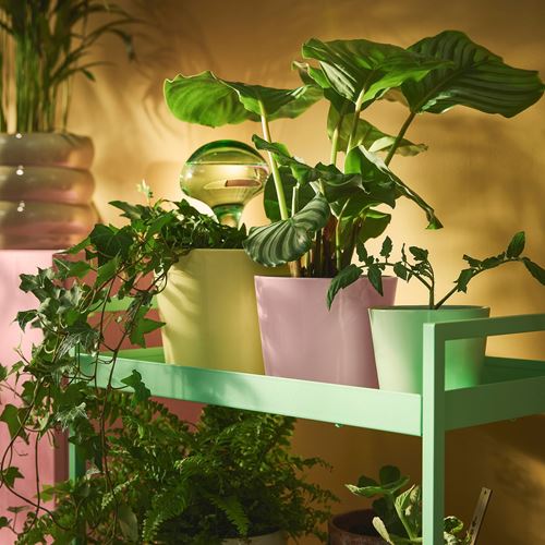 IKEA - SOJABÖNA, toprak saksı, açık sarı, 15 cm