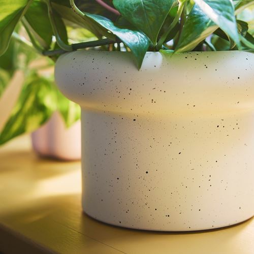 IKEA - DOFTRIPS, beton saksı, kırık beyaz, 15 cm