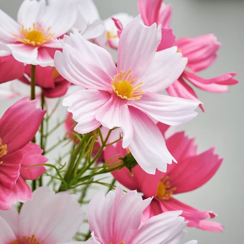 IKEA - SMYCKA, artificial bouquet, pink, 50 cm