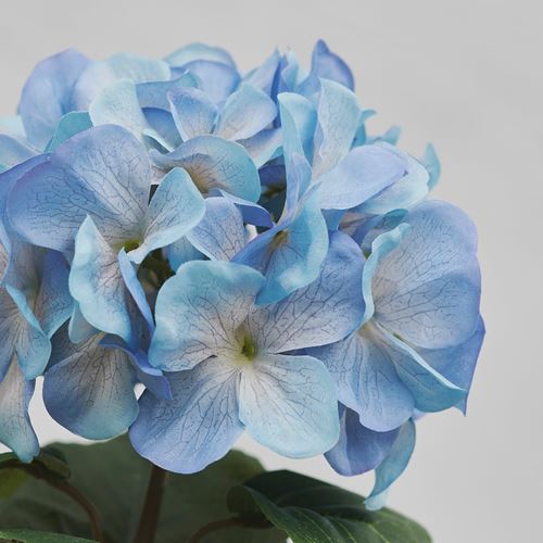 IKEA - SMYCKA, artificial flower, blue, 55 cm