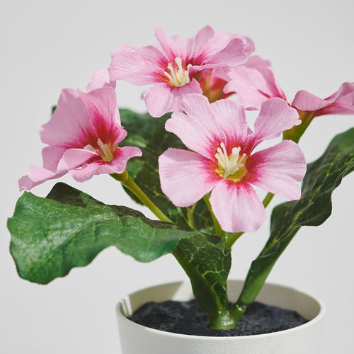 IKEA - FEJKA, saksılı yapay bitki, karışık renkler, 6 cm