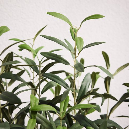 IKEA - FEJKA, yapay bitki, yeşil, 19 cm