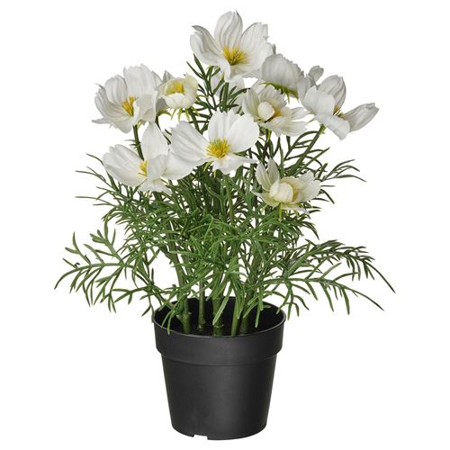 IKEA - FEJKA, artificial plant, white/green, 9 cm