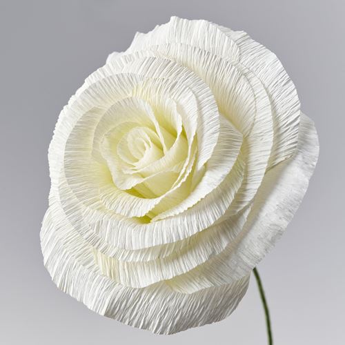 IKEA - GULDSPETT, artificial flower, white, 50 cm