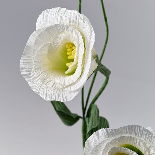 IKEA - GULDSPETT, artificial flower, white, 55 cm