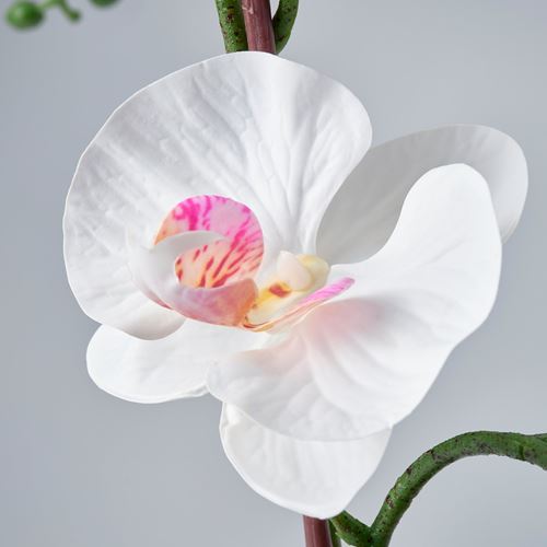 IKEA - FEJKA, artificial plant, white, 12 cm
