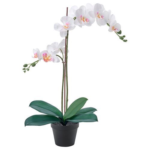 IKEA - FEJKA, artificial plant, white, 12 cm