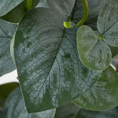 IKEA - FEJKA, artificial plant, green, 15 cm