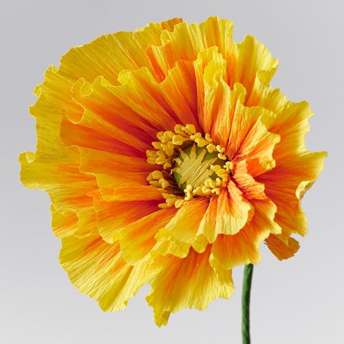 IKEA - GULDSPETT, artificial flower, orange, 40 cm