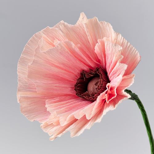 IKEA - GULDSPETT, artificial flower, pink, 40 cm