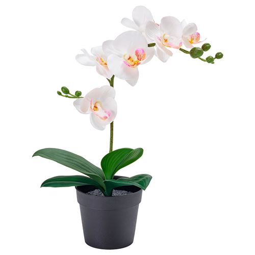 IKEA - FEJKA, artificial plant, white, 9 cm