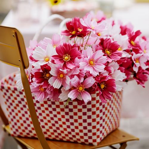 IKEA - SMYCKA, artificial bouquet, pink, 50 cm