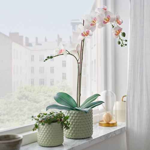 IKEA - FEJKA, artificial plant, white, 12 cm
