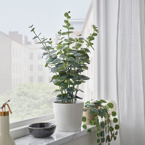IKEA - FEJKA, artificial plant, green, 15 cm
