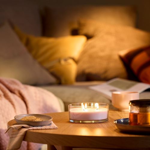 IKEA - LOTSFAGEL, scented candle in cup, pale pink, 25 hr