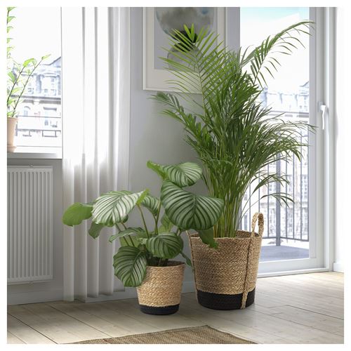 IKEA - TARNMAS, rattan plant pot, beige/black, 15 cm