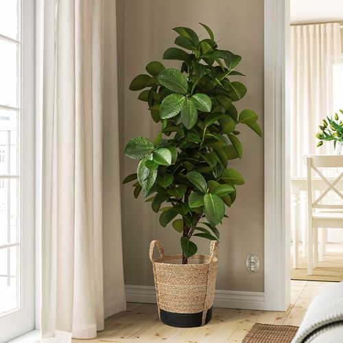 IKEA - TARNMAS, rattan plant pot, beige/black, 24 cm