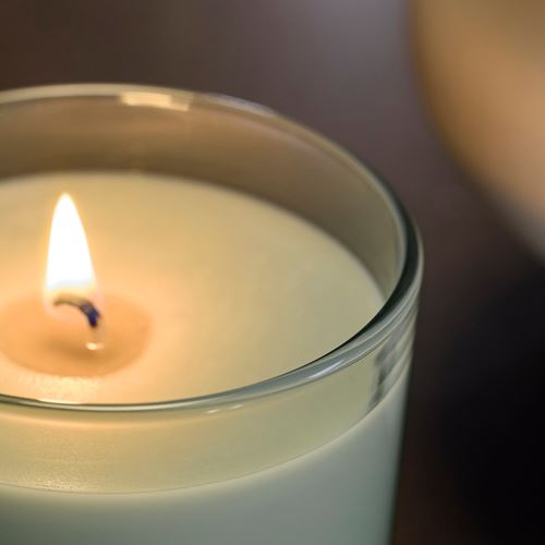 IKEA - LOTSFAGEL, scented candle in cup, light green, 20 hr