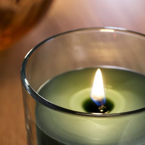 IKEA - LOTSFAGEL, scented candle in cup, green, 20 hr