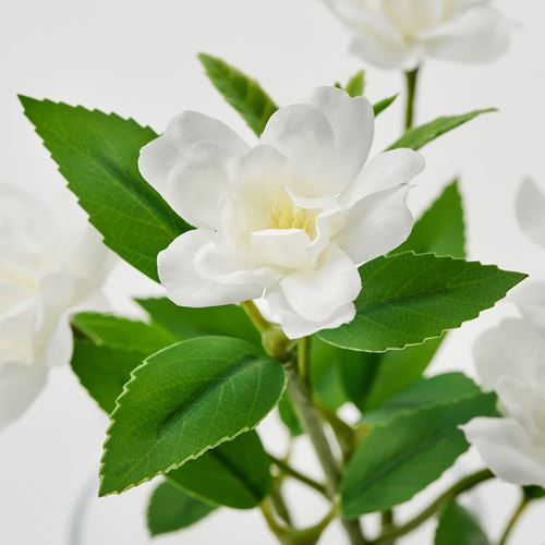 IKEA - SMYCKA, artificial flower, white, 21 cm