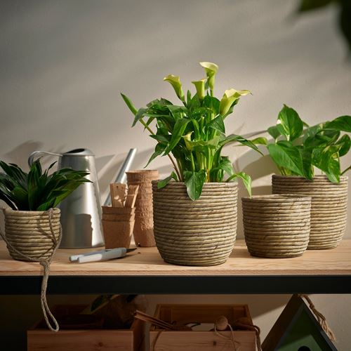IKEA - SANDÖDLA, rattan plant pot, water hyacinth, 15 cm