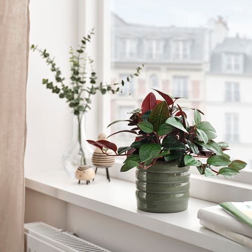 IKEA - HASSELBUKETT, stoneware plant pot, green, 9 cm