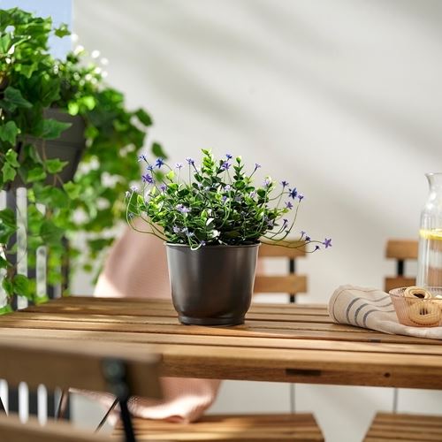 IKEA - BROKTRAST, steel plant pot, dark grey, 12 cm