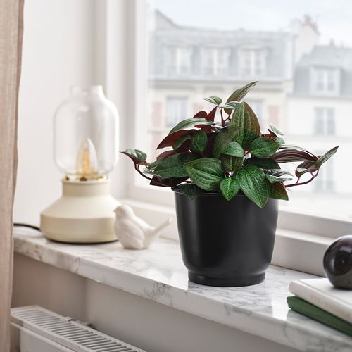 IKEA - BROKTRAST, steel plant pot, dark grey, 12 cm