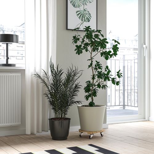 IKEA - DAKSJUS, plant mover, bamboo, 28 cm