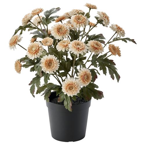 IKEA - FEJKA, yapay bitki, açık turuncu, 15 cm