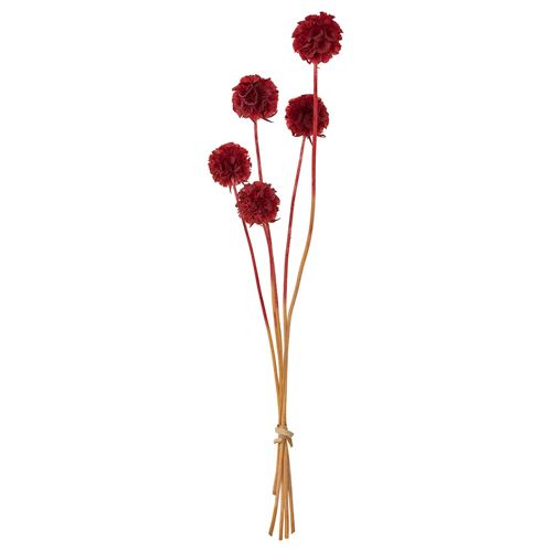 IKEA - TORKA, dried bouquet, scabiosa stellata red, 40 cm