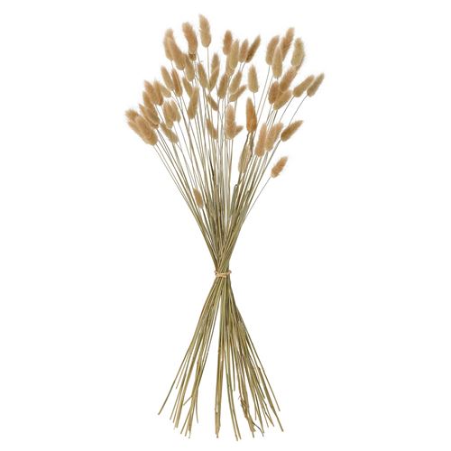 IKEA - TORKA, dried bouquet, natural, 60 cm