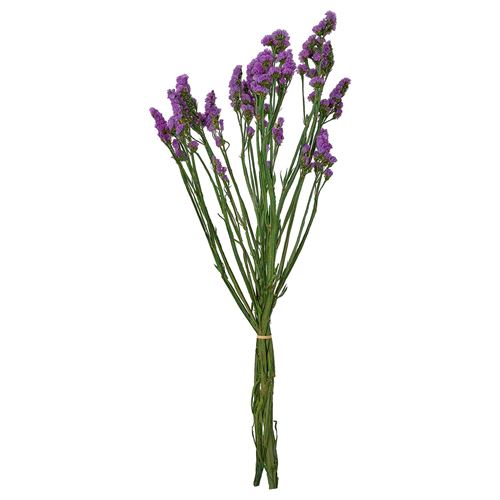 IKEA - TORKA, dried bouquet, lilac, 70 cm
