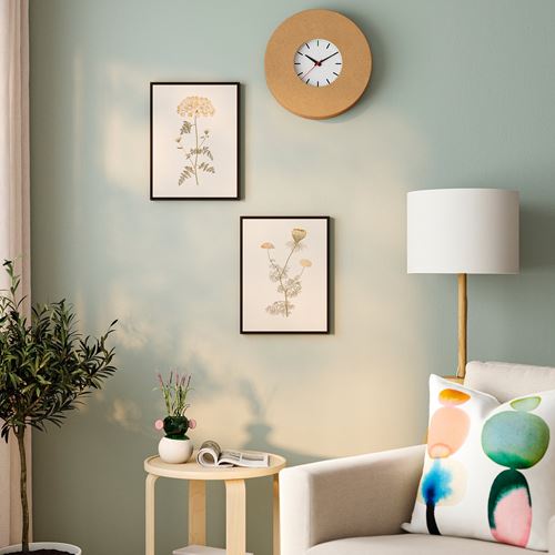 IKEA - BLODFLADER, frame with poster, multicolour, 30x40 cm