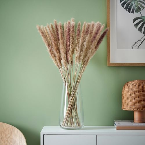 IKEA - TORKA, dried bouquet, reed, 70 cm