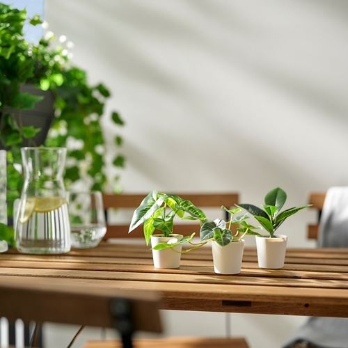 IKEA - FEJKA, artificial potted plant with pot, green