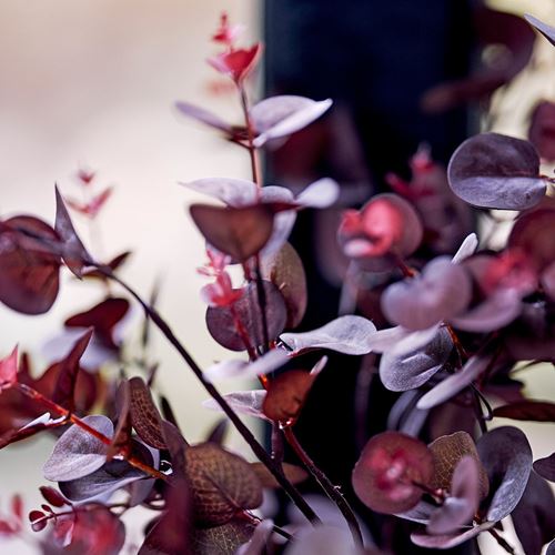 IKEA - SMYCKA, artificial flower, red, 75 cm