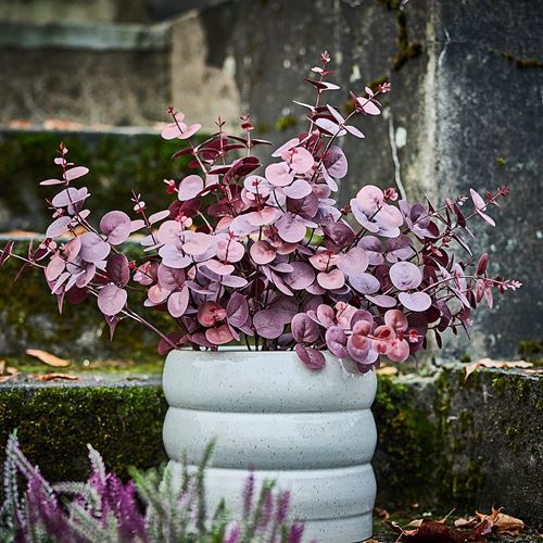 IKEA - SMYCKA, artificial flower, red, 75 cm