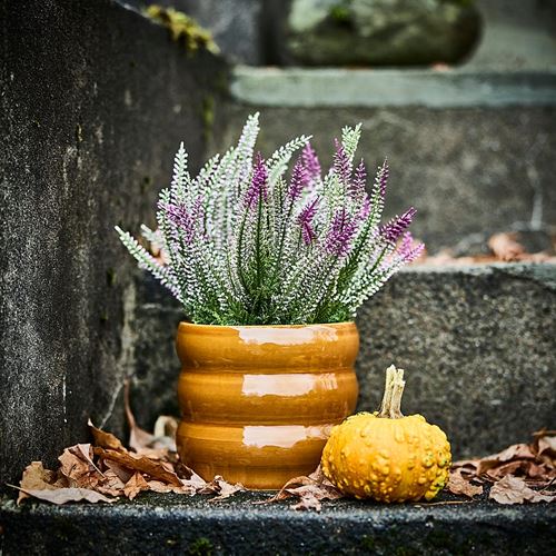 IKEA - FEJKA, artificial plant, lilac, 12 cm