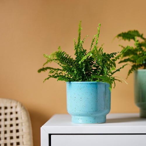 IKEA - SAMMETSSYREN, stoneware plant pot, turquoise, 9 cm