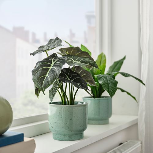 IKEA - SAMMETSSYREN, stoneware plant pot, light green, 12 cm