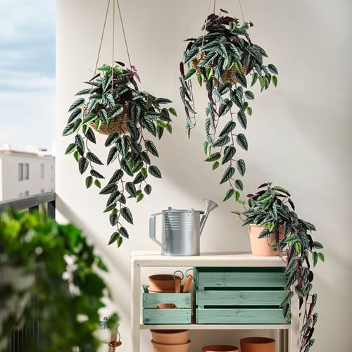 IKEA - FEJKA, yapay bitki, yeşil, 15 cm