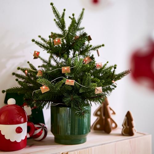 IKEA - VINTERFINT, seramik saksı, yeşil, 12 cm