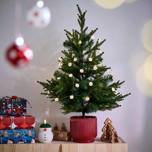 IKEA - VINTERFINT, seramik saksı, kırmızı, 15 cm