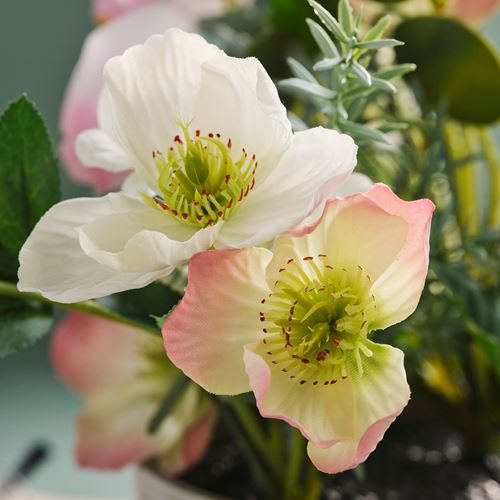 IKEA - FEJKA, artificial potted plant with pot, pink/white, 15 cm