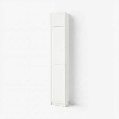bookcase with door