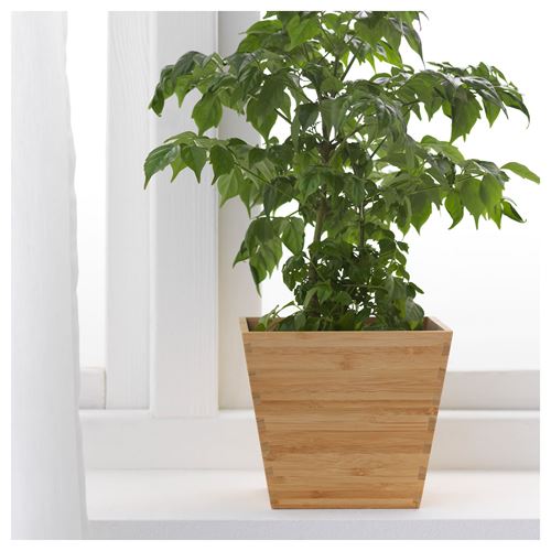 IKEA - VILDAPEL, bamboo plant pot, bamboo, 12 cm